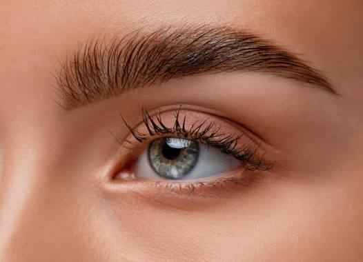 Brow Lamination & Hybrid Tint